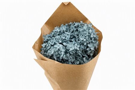 Pres Hydrangea Bluegrey Bunch