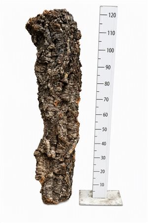 Cork One Piece ±5kg 120cm