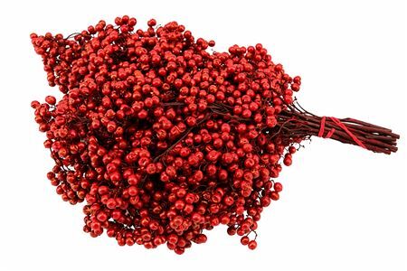 Schinus M Pt Red Bunch