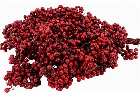 Schinus M Pt Bordeaux Bunch