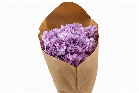 Pres Hydrangea Lilac Bunch