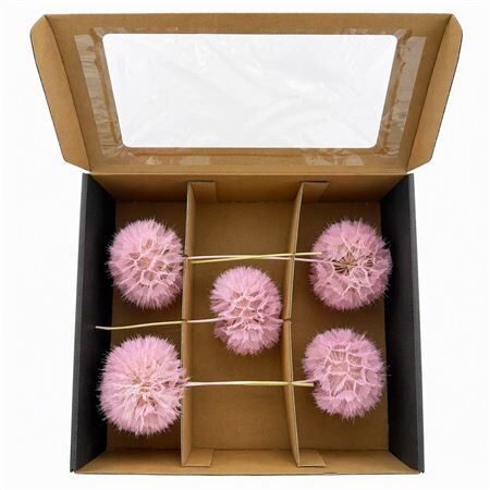 Pres Puste Flower Pink X5 Display Doos