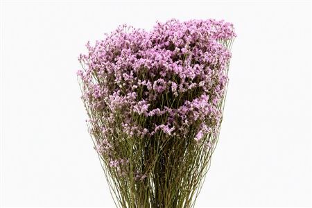 Dried Limonium Diamond L Pink Bunch