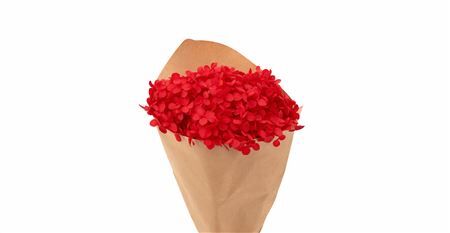 Pres Hydrangea Red Bunch