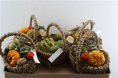 Arr Basket Fruit