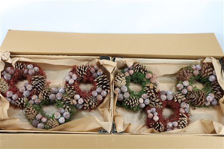 Wr Autumn Nature 20cm