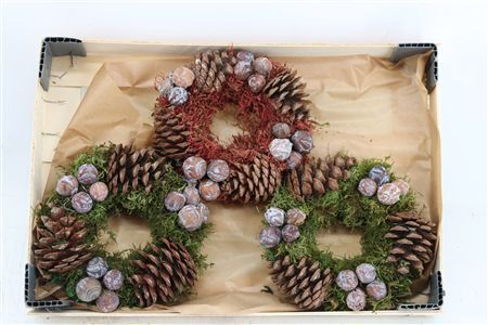 Wr Autumn Nature 20cm
