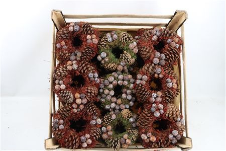 Wr Autumn Nature 20cm