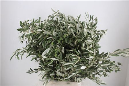 Olijf 300gr P Bunch