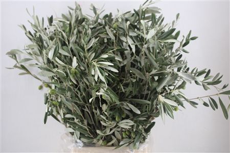 Olijf 300gr P Bunch