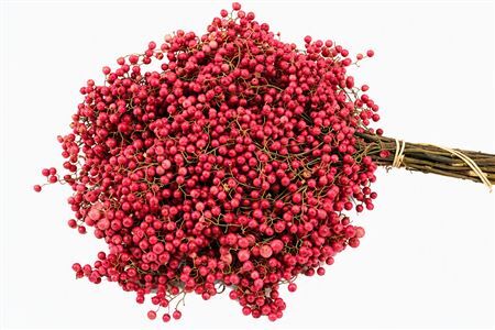 Schinus M Pink Bunch