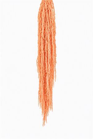 Pres Amaranthus Caud Salmon Bunch