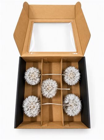 Pres Puste Flower Silver X5 Display Doos