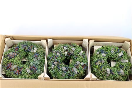Wr Sierfruit De Luxe Green 30cm