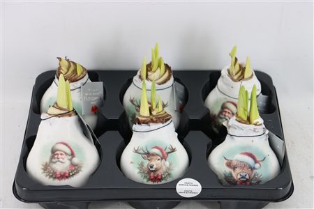 Wax Hipp Crafts Santa En Friends Mix
