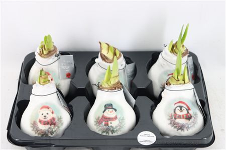 Wax Hipp Crafts Winter Friend Mix