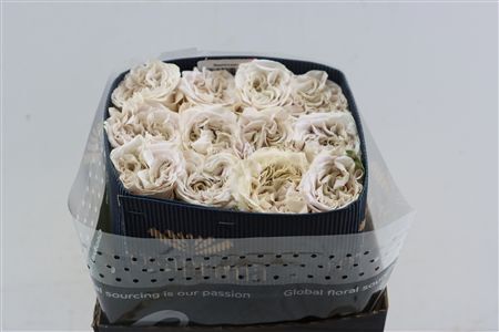 R Gr Westminster Abbey