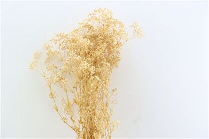 Pres Gyps Naturel 100gr Per Bunch