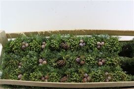 Wr Advent Guirlande 40 Cm