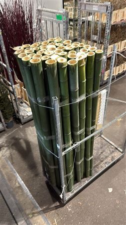 Bamboe 60-80 2meter