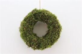 Wr Moss 30cm Natural
