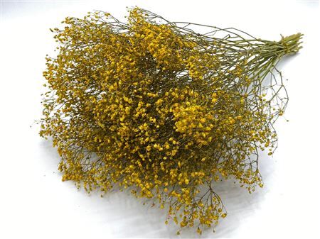 Dried Gyps Yellow Extra Bunch