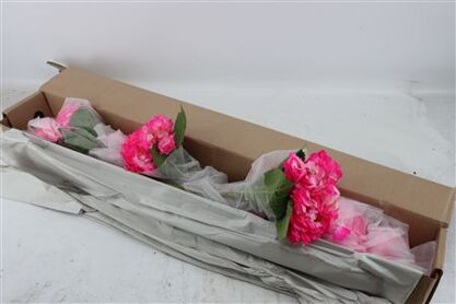 Hydr M Candy Pink Tinted X12