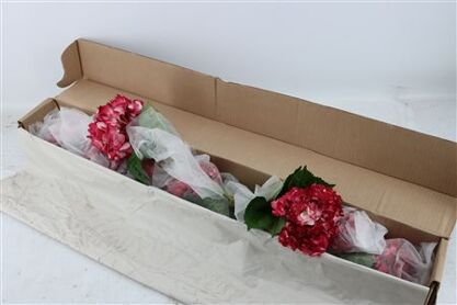 Hydr M Old Pink Tinted X12