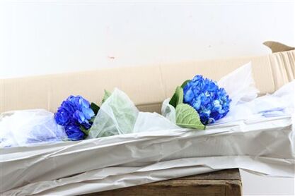 Hydr M Dark Blue Tinted X12