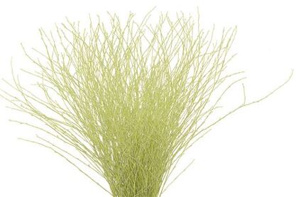 Berk 70cm Creme Pbs