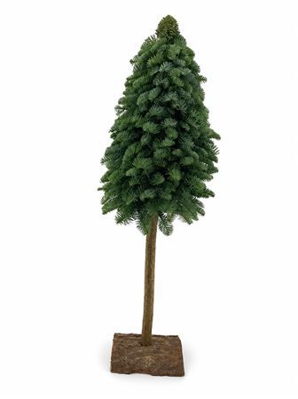 Nobilisboom Op Stam 60cm
