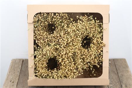 Wr Vlas 20cm Natural