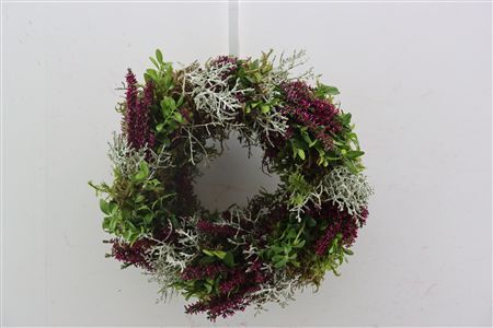 Wr Herfst Einfach No 502