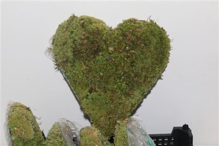 Bolmos Hart Staand Large