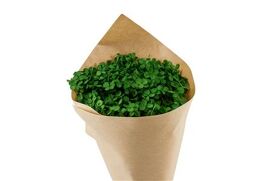 Pres Hydrangea Olive Green Bunch