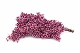 Schinus M Pt Metallic Pink Bunch