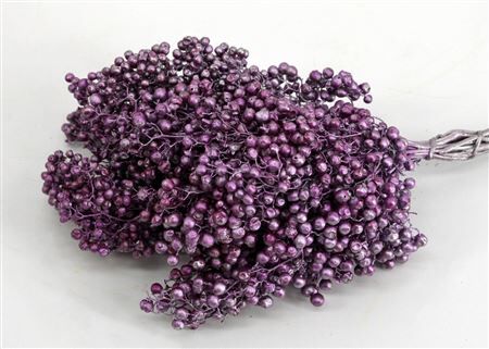 Schinus M Pt Metallic Purple Bunch