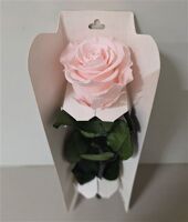 Ro Pres Stem 30cm Rosewood