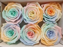 Ro Pres Classic Rainbow Pastel