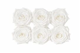 Ro Pres Classic White