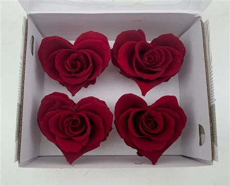 Ro Pres Hearts Red Light