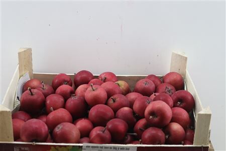 Sier Appels Red 5kg P Wdn Box
