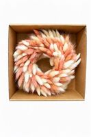 Wr Lagurus White Pastel 20cm