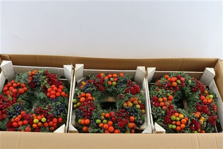 Wr Sierfruit De Luxe Rood 30cm