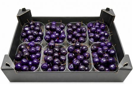 Waxmalus Paars