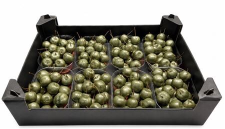 Waxmalus Groen Olijf Metalic