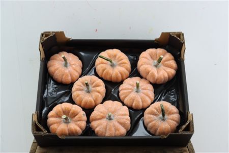 Wax Sierfruit Pumpkin Glitter