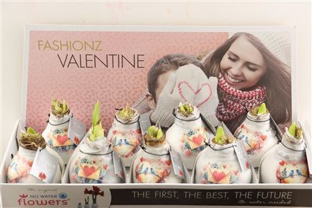 Wax Hipp Love Dreamz