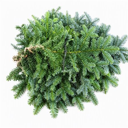 Nobilis Handbos