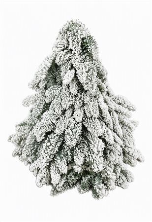 Nobilisboom Snow 40cm